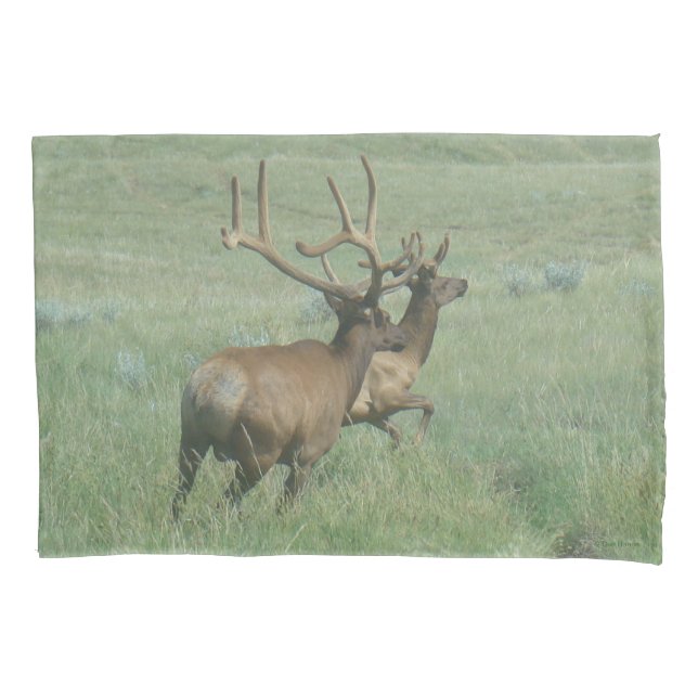 E56 Bull Elk in Velvet Pillowcase (Front)