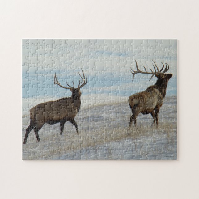 E57 Bull Elk Lucky 13 Bull Jigsaw Puzzle (Horizontal)