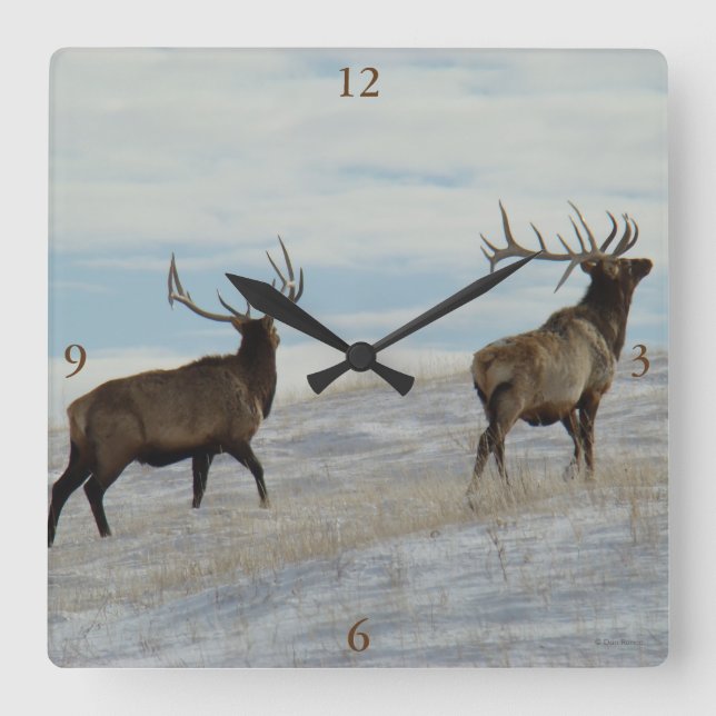 E57 Bull Elk Lucky 13 Bull Square Wall Clock (Front)