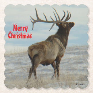 E58 Big Bull Elk Lucky 13 Coaster