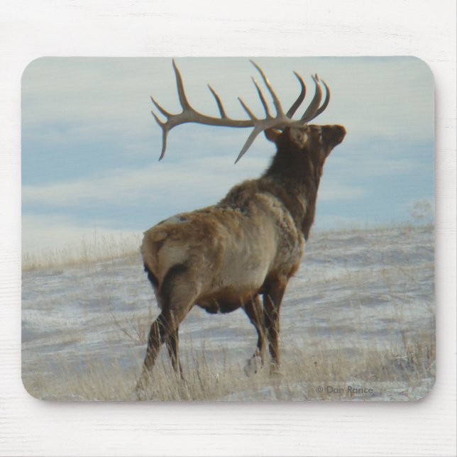 E58 Bull Elk Lucky 13 Bull Mouse Pad (Front)