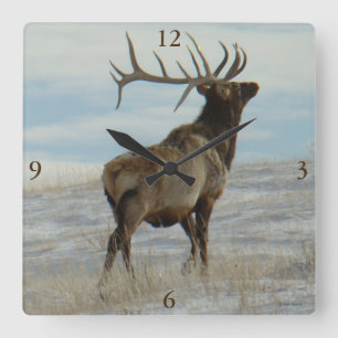 E58 Bull Elk Lucky 13 Bull Square Wall Clock