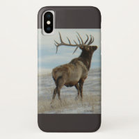 E58 Bull Elk "Lucky 13"