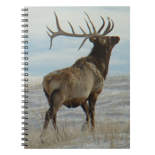 E58 Bull Elk Lucky 13 Notebook (Front)