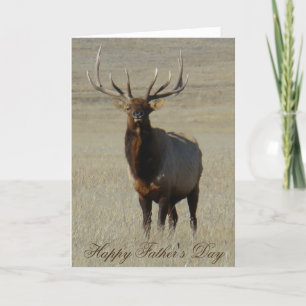 E59 Bull Elk Card