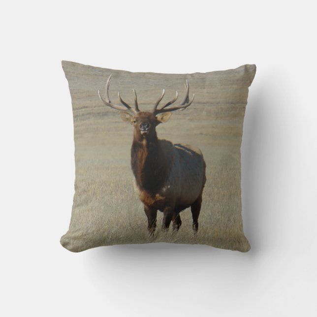 E59 Bull Elk Cushion (Front)