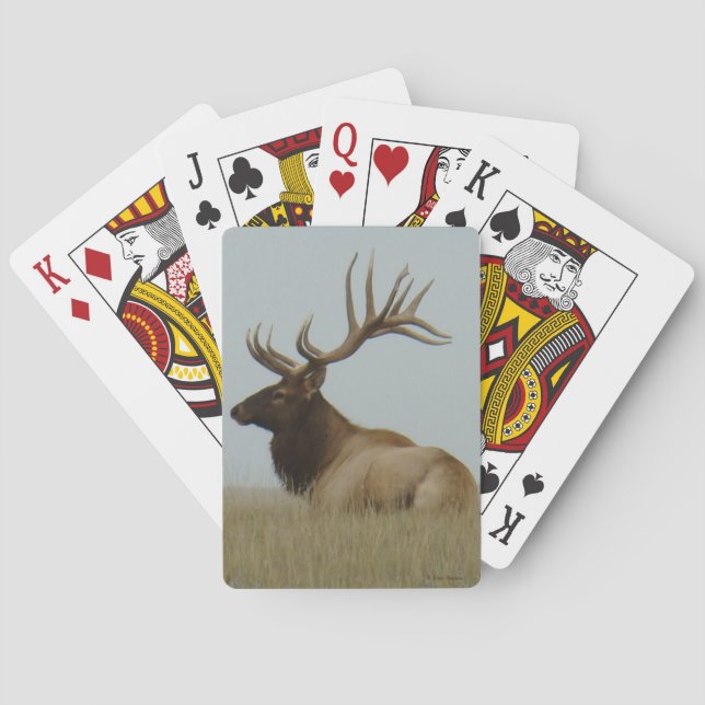 E5 Big Bull Elk Boss Bull Playing Cards (Back)