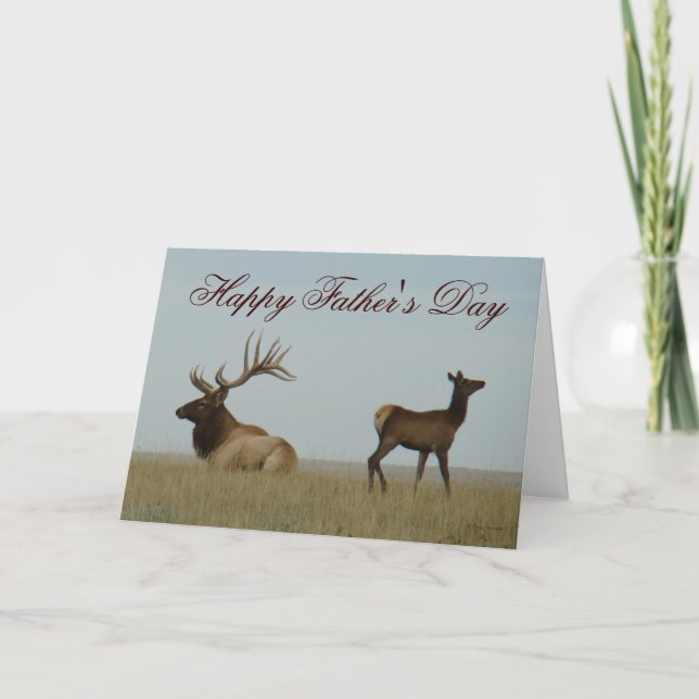 E5 Bull Elk and Yearling Card (Front)