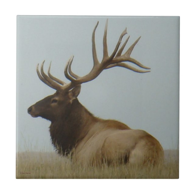 E5 Bull Elk Huge Bull Tile (Front)