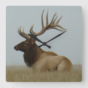 E5a Bull Elk Huge Bull Square Wall Clock