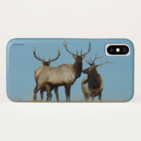 E60 Bull Elk Skylined