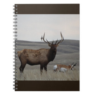 E63 Bull Elk and Pronghorn Antelope Buck Notebook