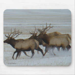 E64 Bull Elk Running in Snow Mouse Pad
