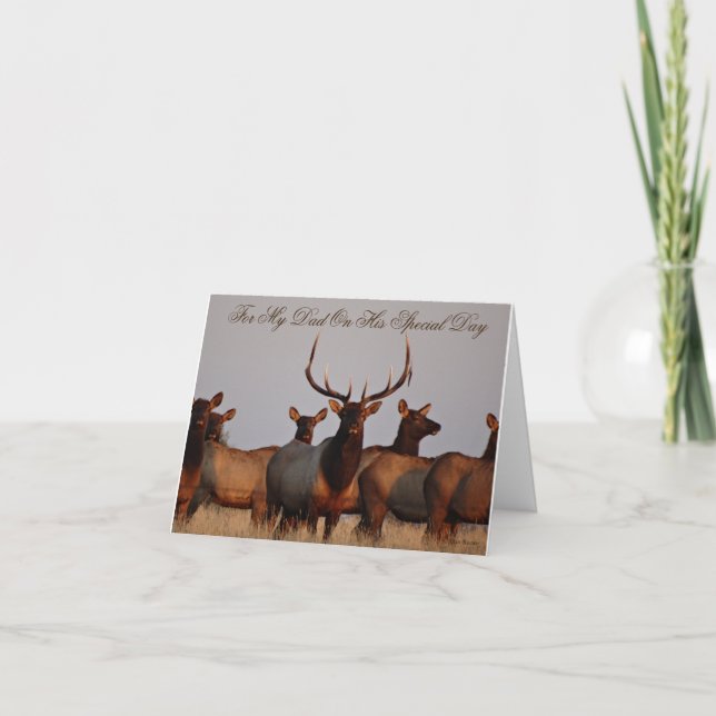 E66 Bull Elk and Cows Holiday Card (Front)