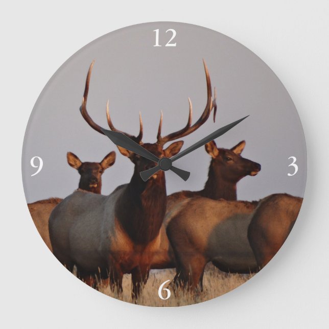 E66 Bull Elk and Cows Large Clock (Front)