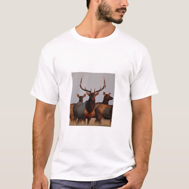 E66 Bull Elk and Cows T-Shirt (Front)