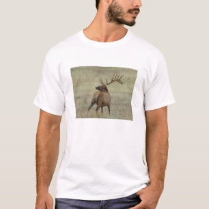 E6 Bull Elk in Velvet T-Shirt