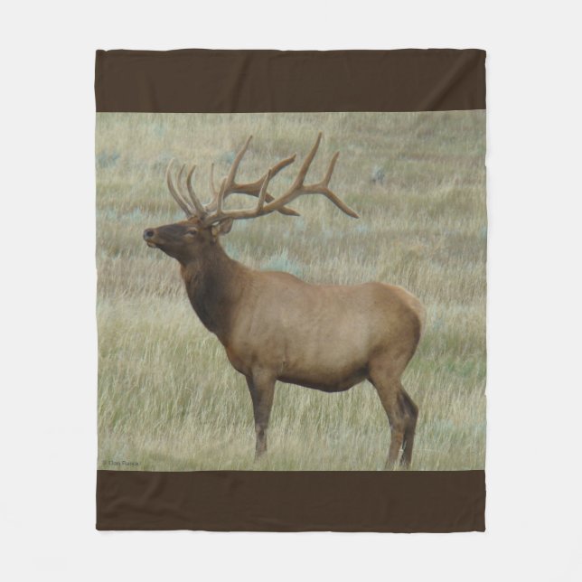 E8 Bull Elk in Velvet Fleece Blanket (Front)
