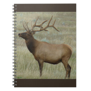 E8 Bull Elk in Velvet Notebook