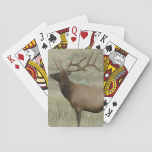 E8 Bull Elk in Velvet Playing Cards