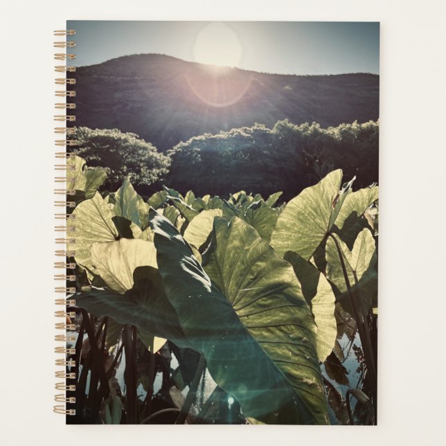 E ala e ka la i kahikina planner (Front)