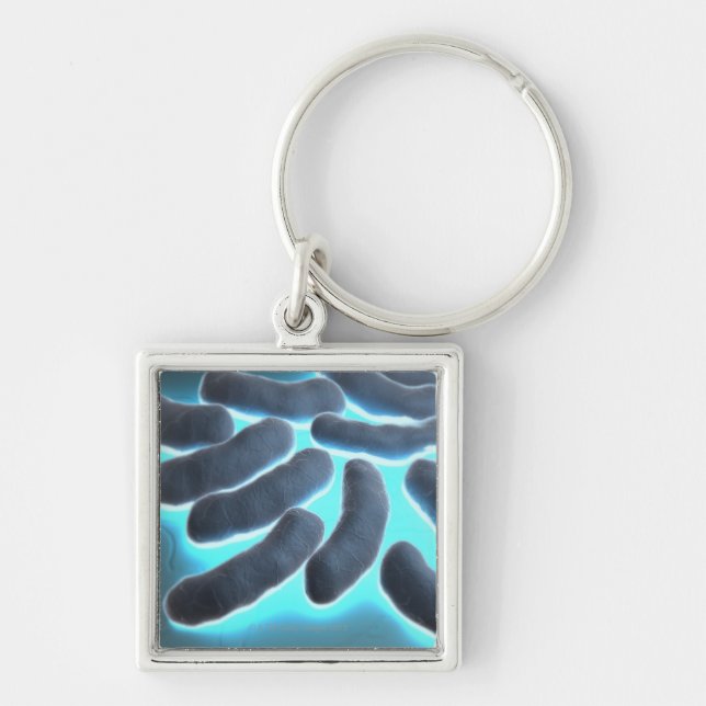 E-coli Cells Key Ring (Front)