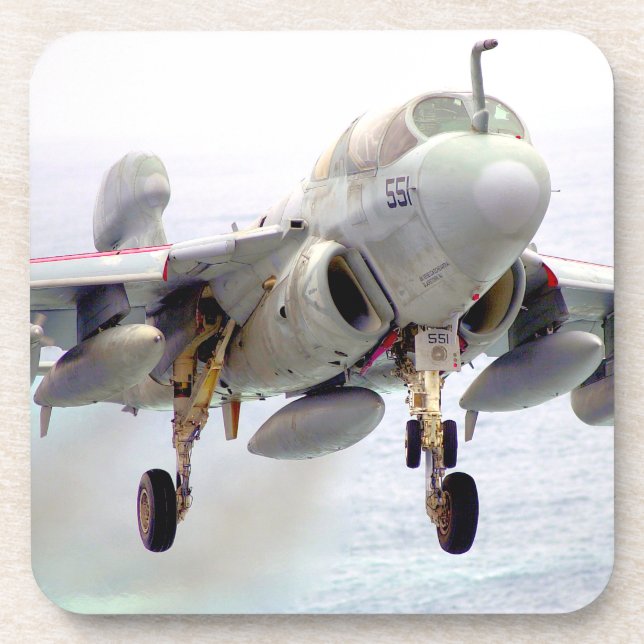 EA-6B PROWLER COASTER (Front)