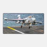 EA-6B PROWLER