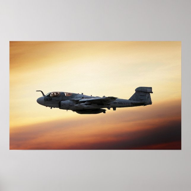 EA-6B Prowler Poster (Front)