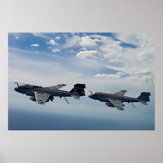 EA-6B Prowler Poster (Front)