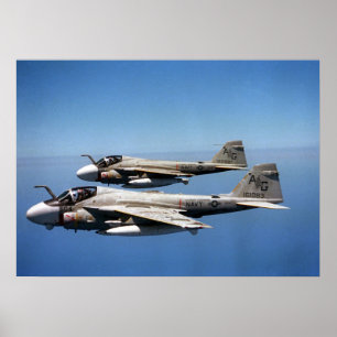 EA-6B Prowlers Poster