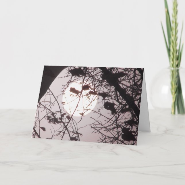 Each Time the Sun Rises We Get a New Start Quote Card (Front)