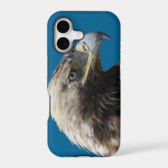 Eagle (Back)