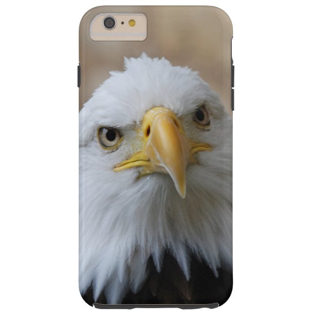 Eagle_2015_0201 Case-Mate iPhone Case (Back)