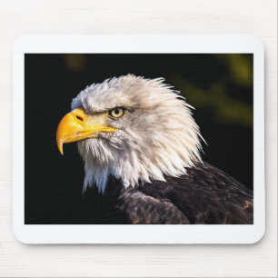 Eagle 2 mouse pad