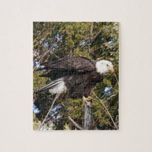 Eagle 7 jigsaw puzzle