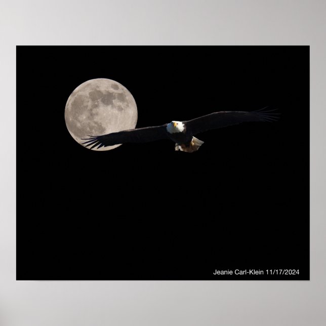 Eagle across the moon poster (Front)