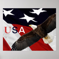 Eagle and American Flag USA