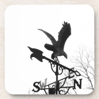 Eagle and Arrow Coaster