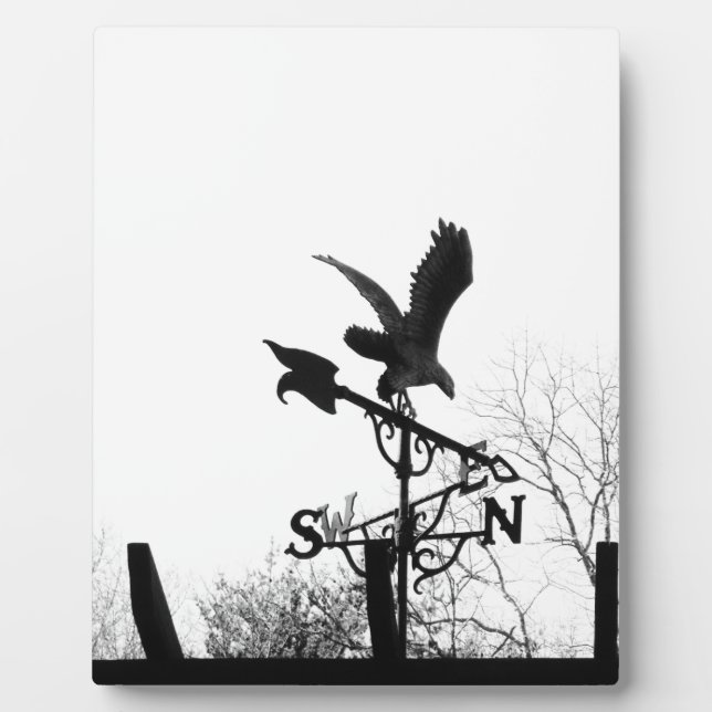 Eagle and Arrow Plaque (Front)