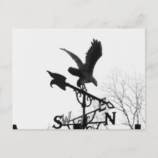 Eagle and Arrow Postcard