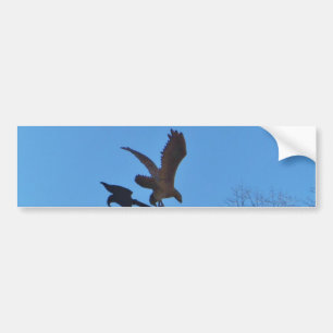 Eagle and Arrow Weather vane blue skys Bumper Sticker