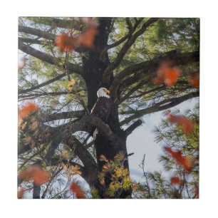 Eagle and Falling Leaves Ceramic Tile