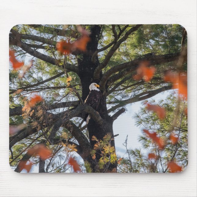 Eagle and Falling Leaves Mouse Pad (Front)