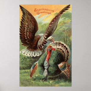 Eagle Attacking a Turkey Poster