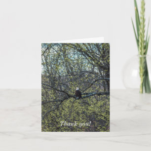 Eagle Awareness Card