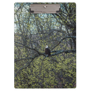 Eagle Awareness Clipboard