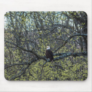 Eagle Awareness Mouse Pad