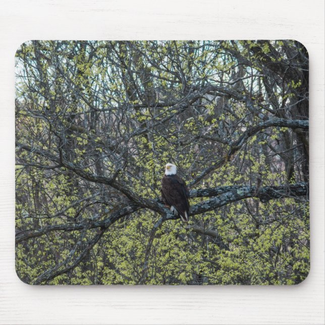 Eagle Awareness Mouse Pad (Front)