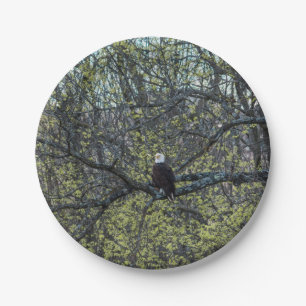 Eagle Awareness Paper Plate